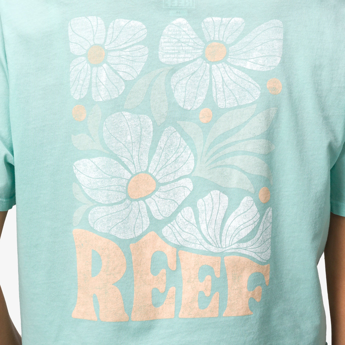Koda 18" Crop T-Shirt - Eggshell - Down the Line 2 View